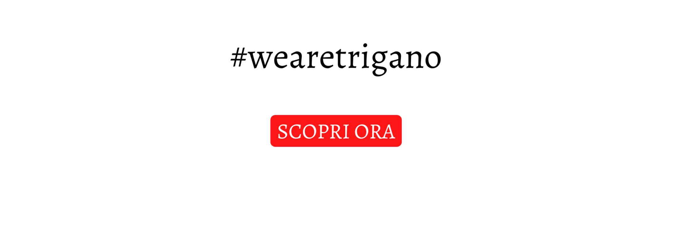 we are trigano banner.png